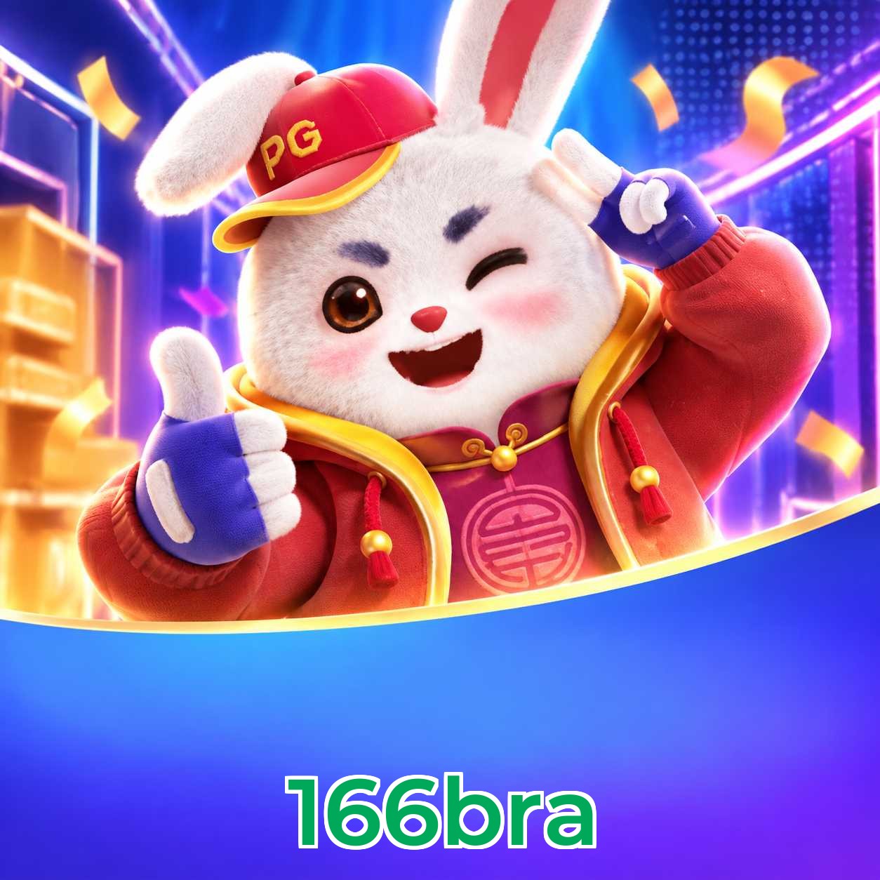 166bra FAQ
