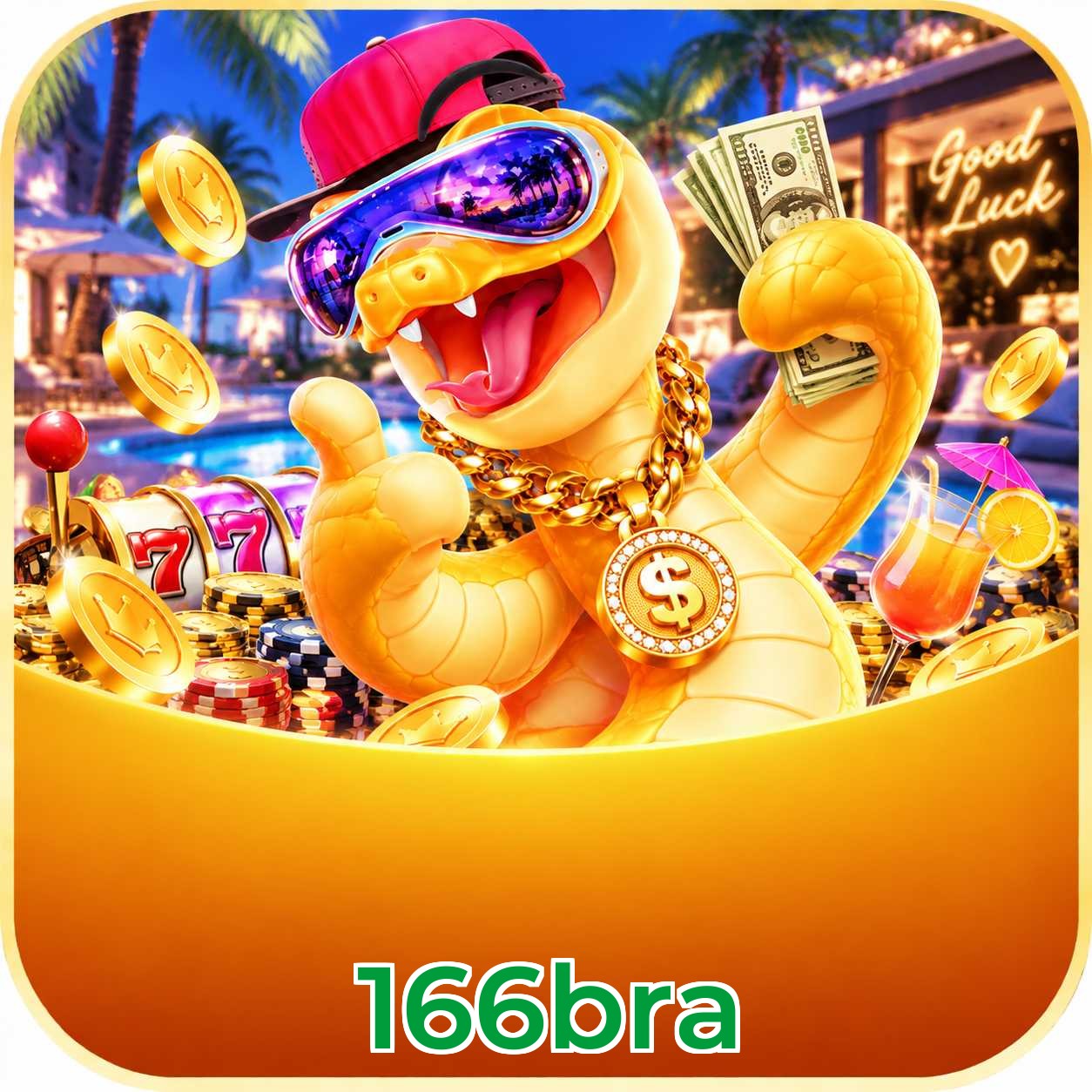 166bra App FAQ